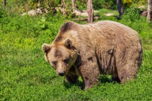 目元のクマとシワをダブルケアする方法は？