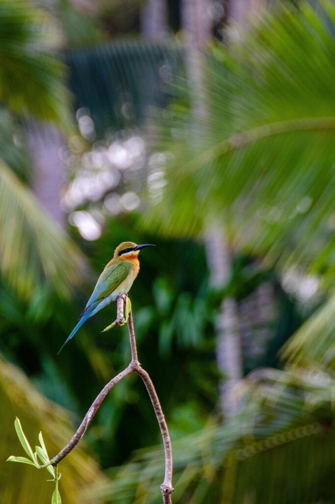 美顔器の使用頻度はどれくらいが理想なの？
