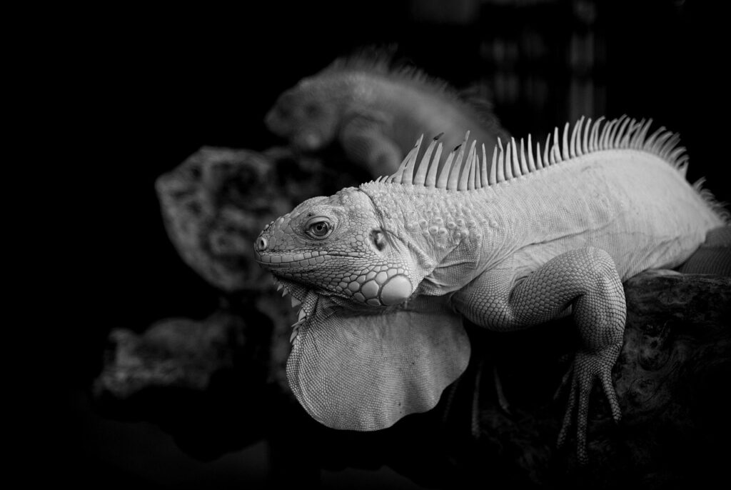 レチノールアイクリームは目元専用でどんな効果が期待できる？