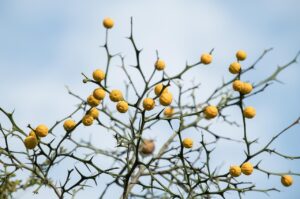 レチノールの使い方でよくある間違いとは？