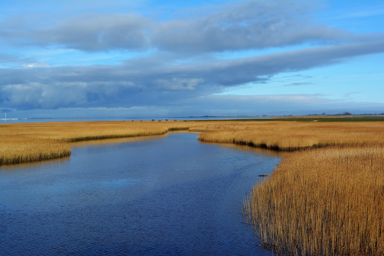 レチノールとEMSの比較による効果はどれほど違うのか？