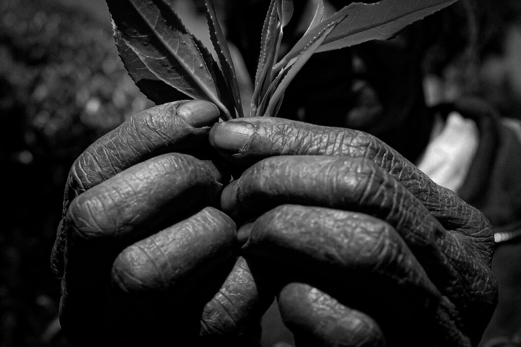 美容機器によるシミとシワの効果を比較するとどうなる？