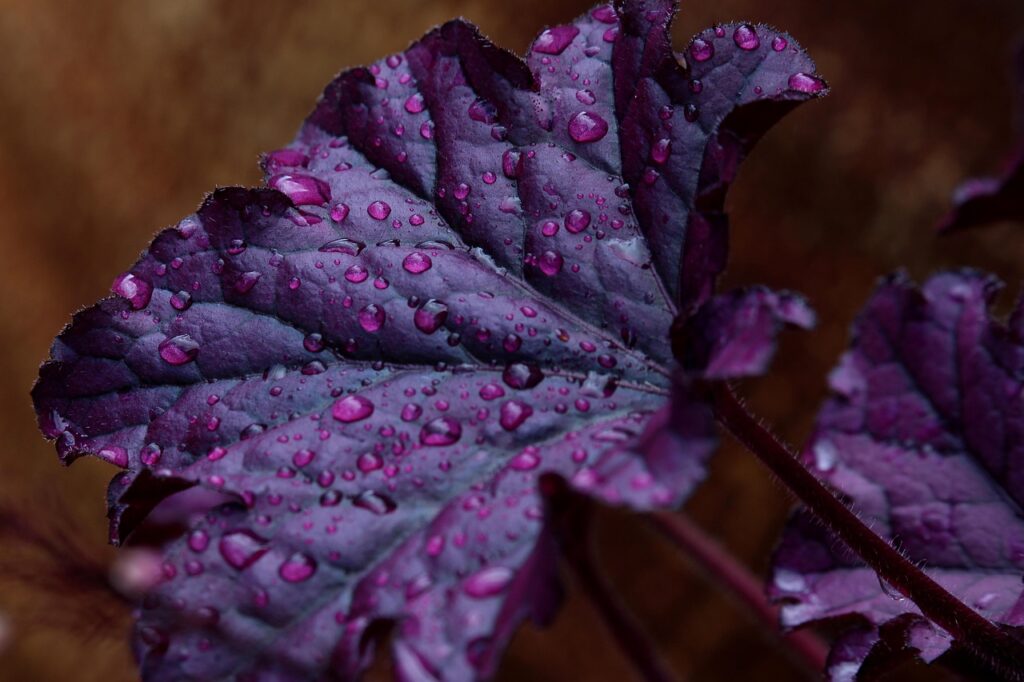 美容液の導入効果は本当にあるのか？