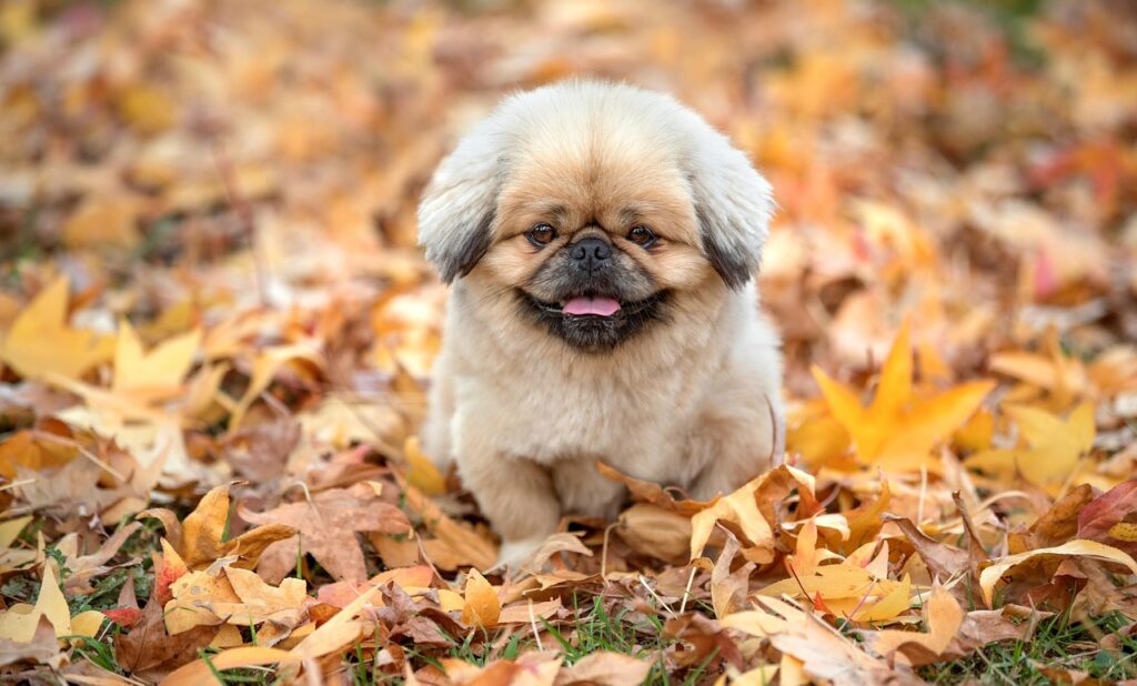 皮膚科が推奨するレチノールの効果と使い方は？