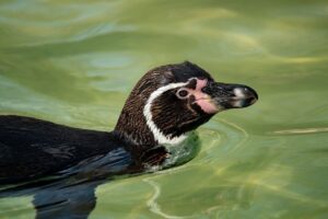 目元ケアにおすすめの人気商品は？