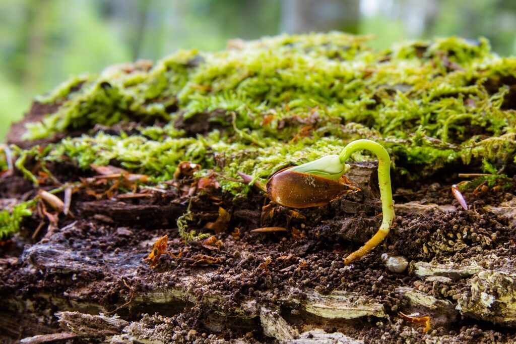 目元の若返りを実感するための最適な期間は？