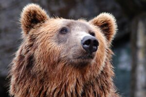 目元のクマを改善するための効果的な方法は？