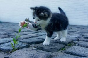 目元のシワ対策に最適なクリームはどれがおすすめ？